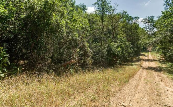 Pictures of Land property located at Kaukonahua Lane, Bastrop, TX 78602 for sales - image #1