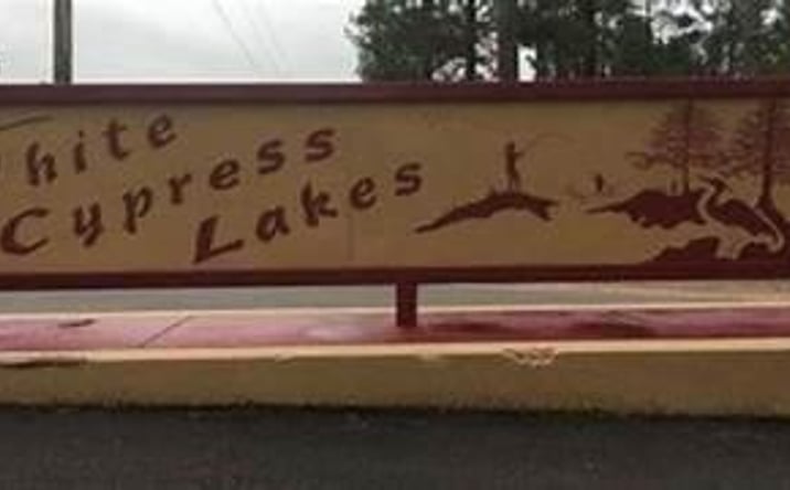 Pictures of Land property located at Lot 47 Quail Ridge Ph 1, Perkinston, MS 39573 for sales - image #1