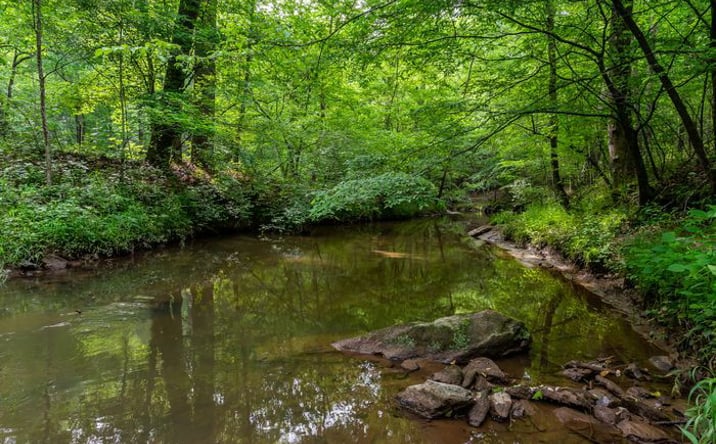Pictures of Land, Industrial property located at Hickory Flat Highway, Woodstock, GA 30188 for sales - image #1