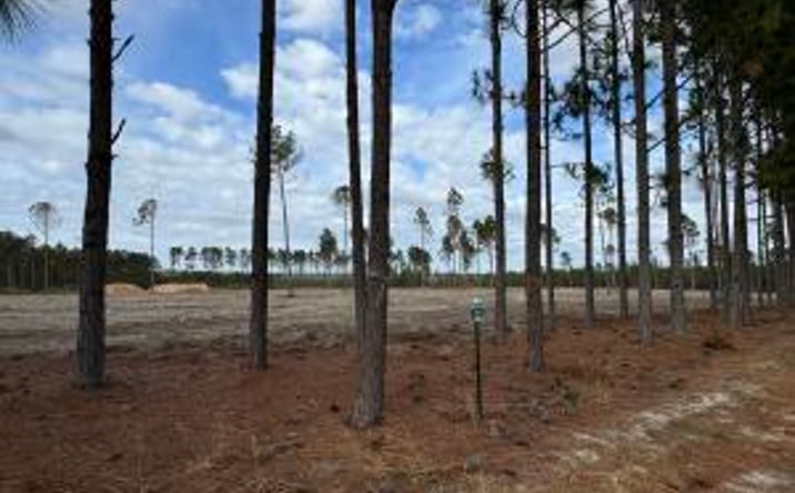Pictures of Land property located at 1421 Cooks Bridge Road, Aiken, SC 29805 for sales - image #1