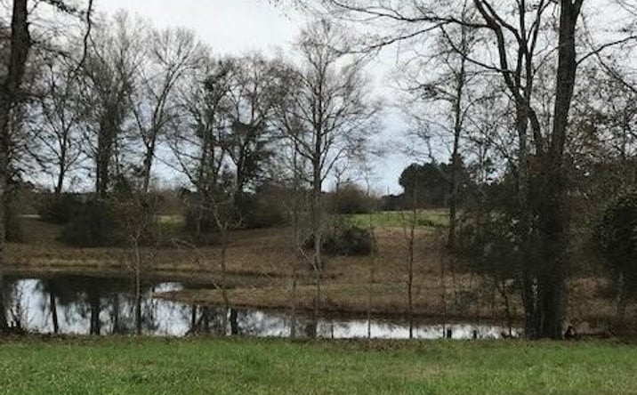 Pictures of Land property located at 0 Rolling Ridge Lot 66, Poplarville, MS 39470 for sales - image #1