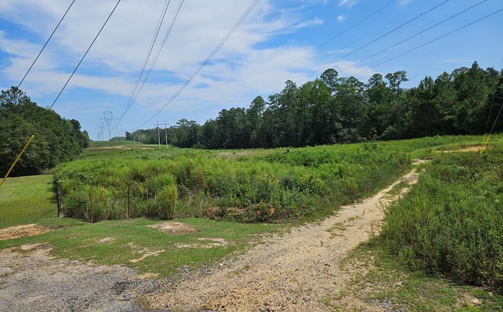 Pictures of Land property located at NHN Darby Lane, Carriere, MS 39426 for sales - image #1