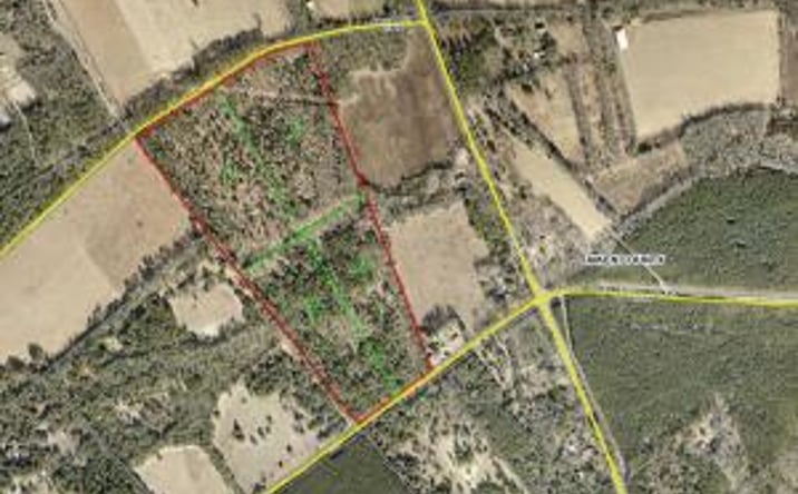 Pictures of Land property located at 0000 Parcel 1- Arcola Rd, Wagener, SC 29164 for sales - image #1