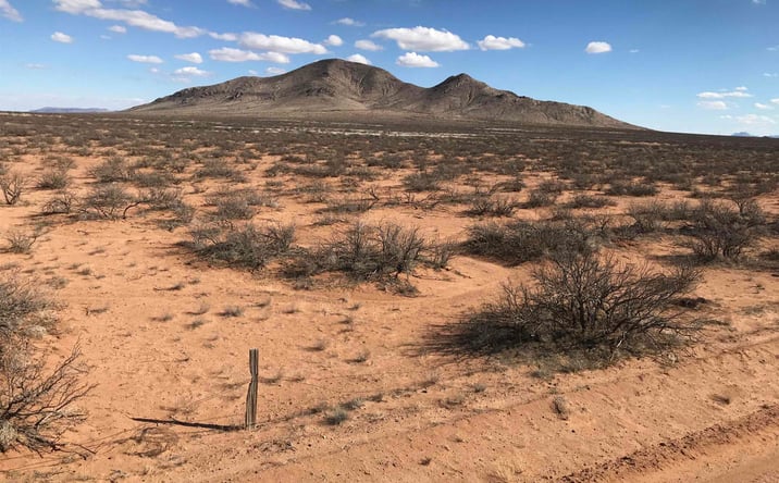 Pictures of Land property located at 0000 Pearl Onion Road, Deming, NM 88030 for sales - image #1