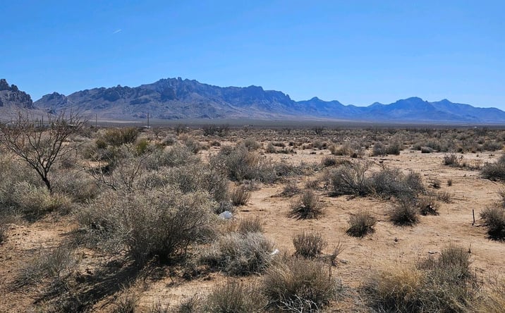 Pictures of Land property located at 000 Trocadero Rd Se, Deming, NM 88030 for sales - image #1