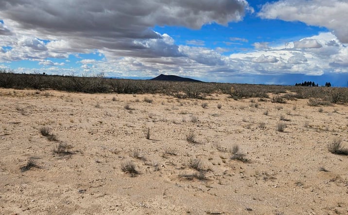 Pictures of Land property located at XXXX NW Horseshoe Rd, Deming, NM 88030 for sales - image #1