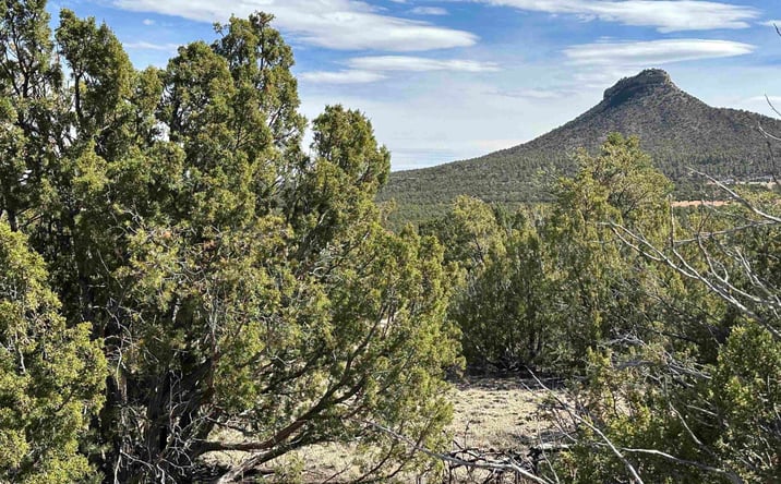Pictures of Land property located at 5.045 acres Frontage Road 2116 Road, Serafina, NM 87569 for sales - image #1