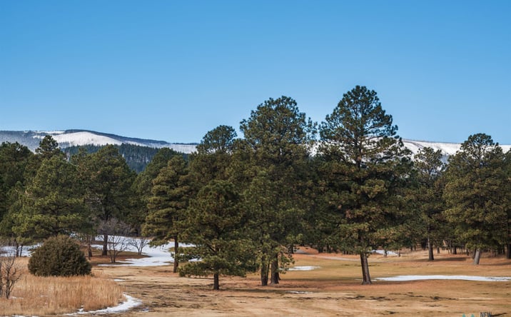 Pictures of Land property located at Lot 69 Avenida Lustrosos Avenue, Rociada, NM 87742 for sales - image #1