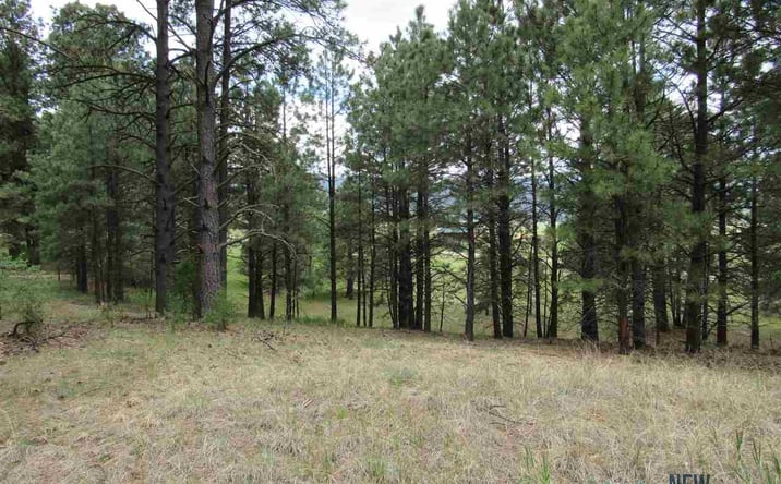 Pictures of Land property located at 1 & 2 Chapel Rd & Cr A34, Rociada, NM 87742 for sales - image #1