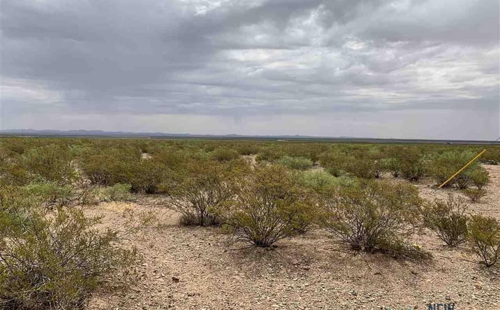 Pictures of Land property located at XXXX Columbus Hwy 11, Columbus, NM 88029 for sales - image #1