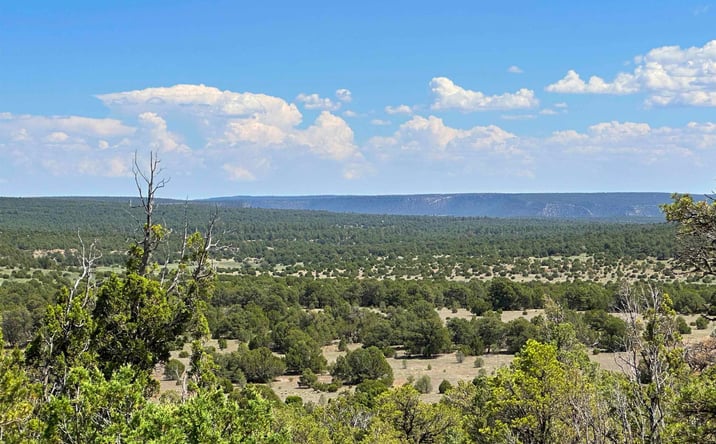 Pictures of Land property located at Lot 7 Tierra De Dios, Rowe, NM 87562 for sales - image #1