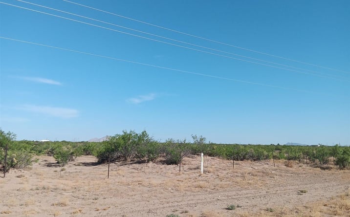 Pictures of Land property located at 0000 S Columbus Rd Roads, Deming, NM 88030 for sales - image #1