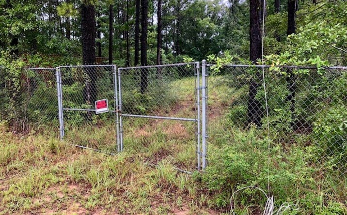 Pictures of Land property located at NHN Hwy 11 North, Carriere, MS 39426 for sales - image #1