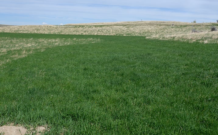 Pictures of Land property located at Horseshoe Mdw Ln #2, Buffalo, WY 82834 for sales - image #1