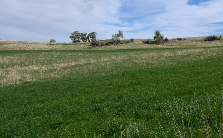 Pictures of Land property located at Horseshoe Mdw Ln #3, Buffalo, WY 82834 for sales - image #1