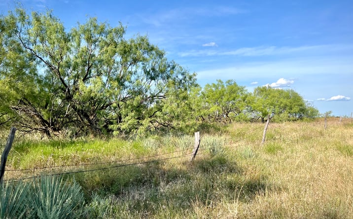 Pictures of Land property located at Northwest Fwy, Wichita Falls, TX 76306 for sales - image #1