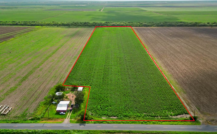 Pictures of Land property located at 18.34 Acres FM 2556, Santa Rosa, TX 78593 for sales - image #1