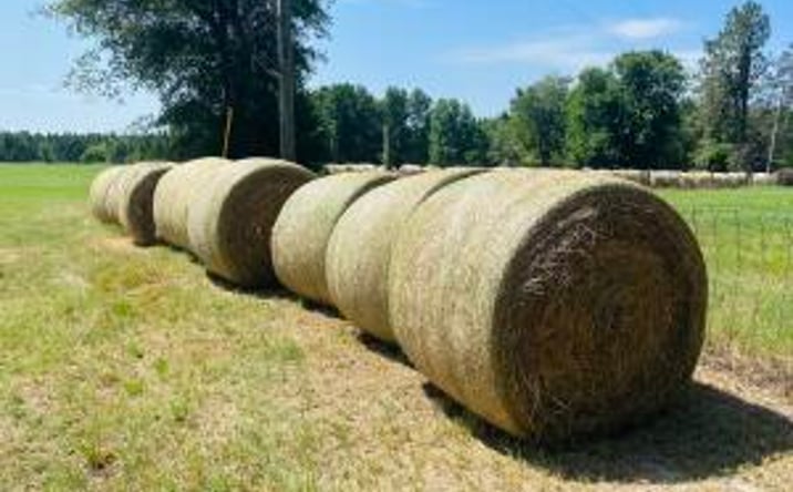 Pictures of Land property located at 92 Hwy 191, Johnston, SC 29832 for sales - image #1