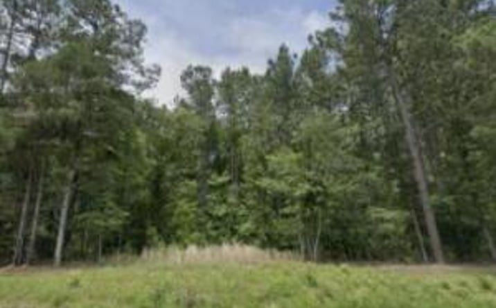 Pictures of Land property located at Lot A Daniel Avenue, Johnston, SC 29832 for sales - image #1
