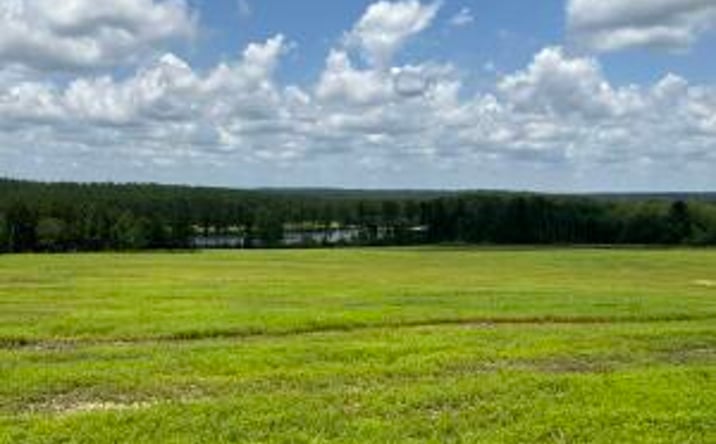 Pictures of Land property located at 0 Laughlin Loop Road, Aiken, SC 29805 for sales - image #1