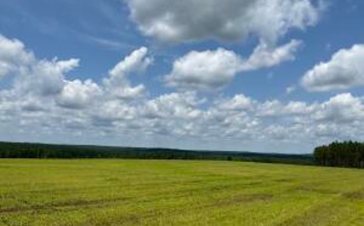 Pictures of Land property located at 0 Laughlin Loop, Aiken, SC 29805 for sales - image #1