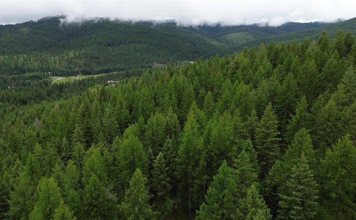 Pictures of Land property located at 318 Lone Star Trail, Kalispell, MT 59901 for sales - image #1