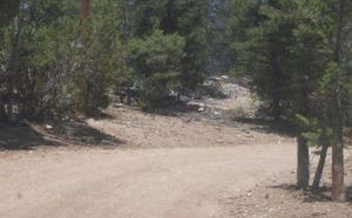 Pictures of Land property located at County Rd B-52, Pecos, NM 87552 for sales - image #1