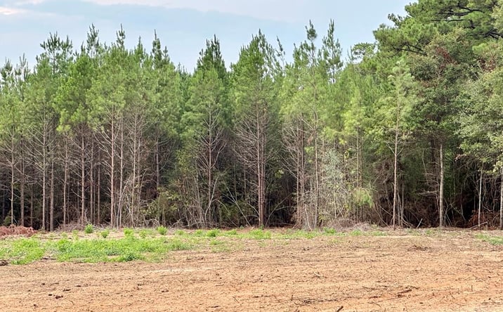 Pictures of Land property located at 79 Bates Ave, Purvis, MS 39475 for sales - image #1
