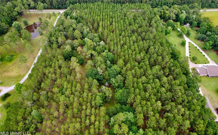 Pictures of Land property located at 20593 Robinson Road, Gulfport, MS 39503 for sales - image #1