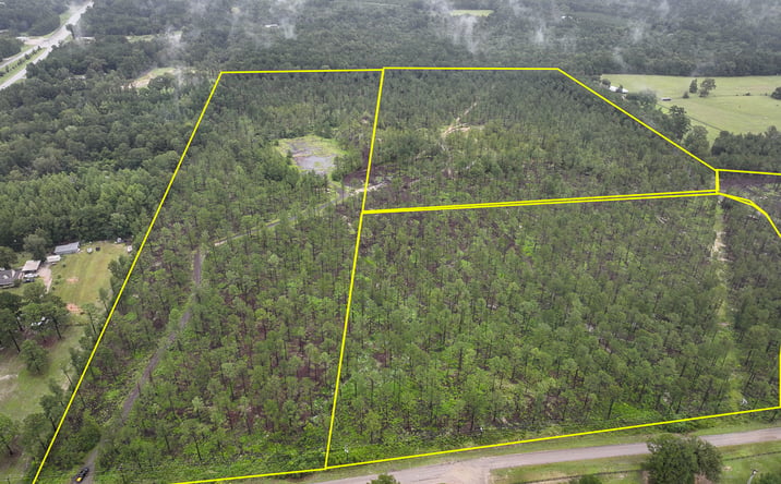 Pictures of Land property located at 3 CR 257 & CR 258, Jasper, TX 75951 for sales - image #1