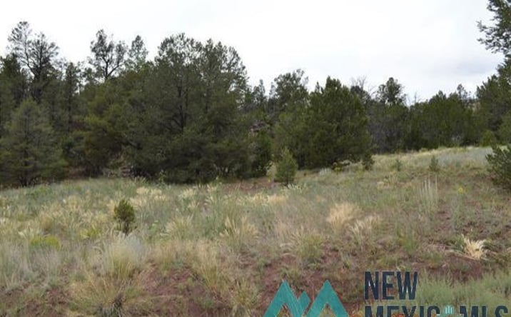 Pictures of Land property located at 157 Forest Road, Ramah, NM 87321 for sales - image #1
