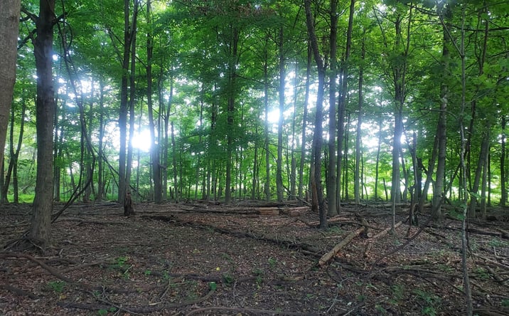 Pictures of Land property located at 00 North St Road, Newark, OH 43055 for sales - image #1