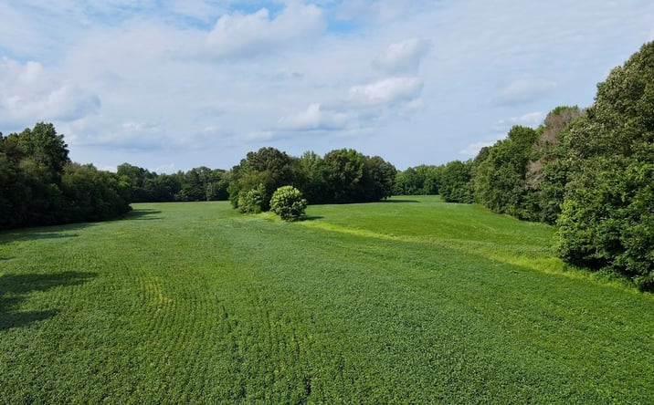 Pictures of Land property located at Herbert Neal Rd, Milan, TN 38358 for sales - image #1