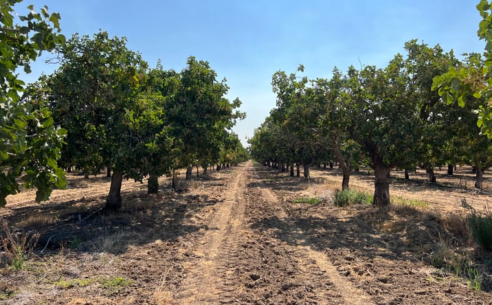 Pictures of Land property located at 28220 Ave 20 1/2, Madera, CA 93638 for sales - image #1