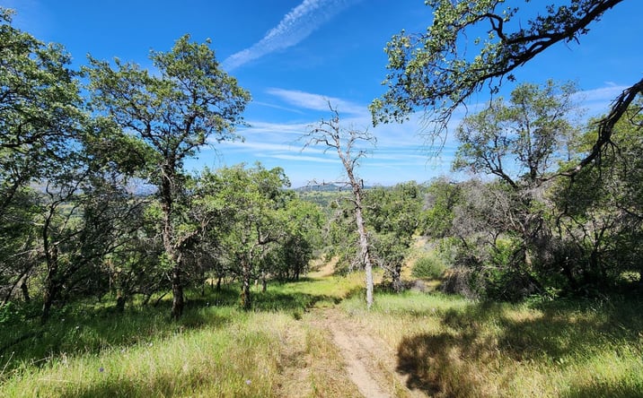 Pictures of Land property located at 16241 Beyers Lane, Grass Valley, CA 95949 for sales - image #1