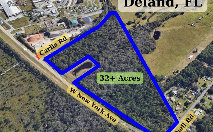 Pictures of Land property located at W SR 44, NEW YORK AVENUE,, Deland, FL 32720 for sales - image #1