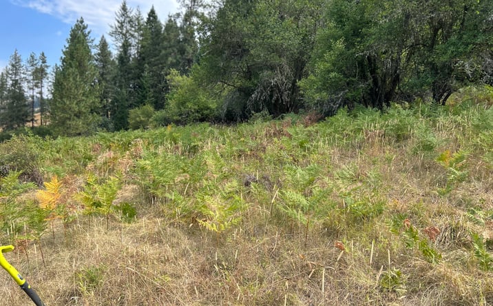 Pictures of Land property located at 622 Clearcreek Rd, Kooskia, ID 83539 for sales - image #1