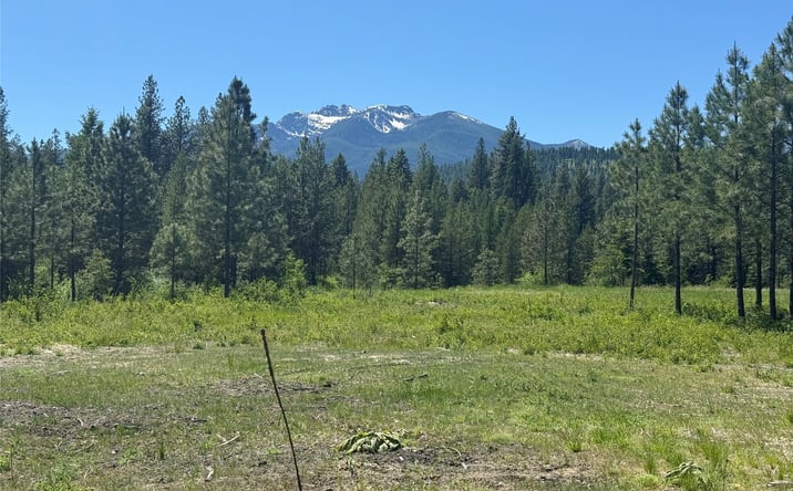 Pictures of Land property located at TBD Granite Lake Road 3, Libby, MT 59923 for sales - image #1