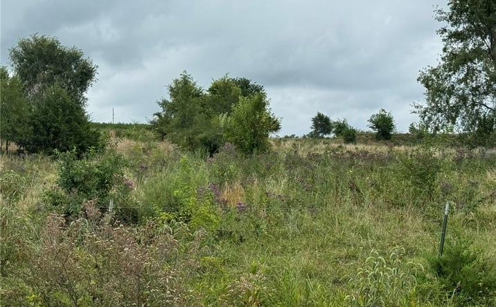 Pictures of Land property located at Indianapolis N/A, Osawatomie, KS 66064 for sales - image #1