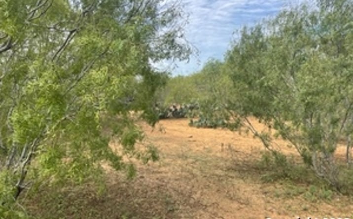Pictures of Land property located at 829 Co Rd 329, Jourdanton, TX 78026 for sales - image #1