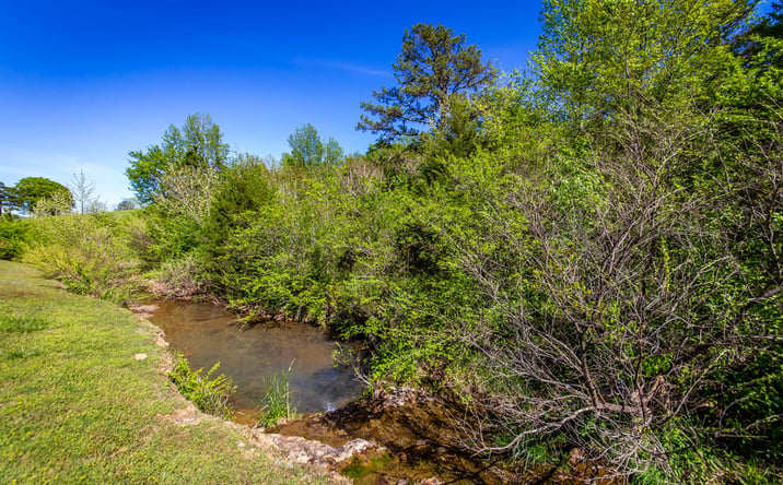 Pictures of Land, Business for Sale property located at 0 Highway 16 East, Shirley, AR 72153 for sales - image #1