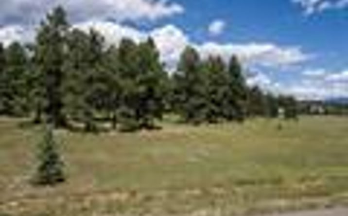 Pictures of Land property located at 1520 Antelope Ave, Pagosa Springs, CO 81147 for sales - image #1