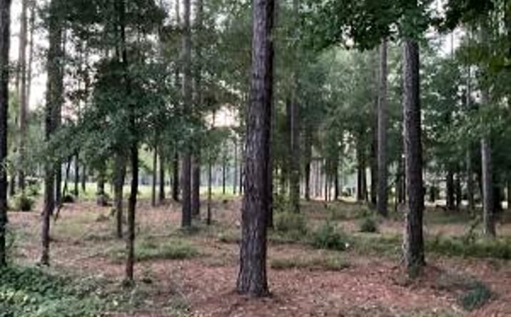 Pictures of Land property located at 3360 Glenview Drive, Aiken, SC 29803 for sales - image #1