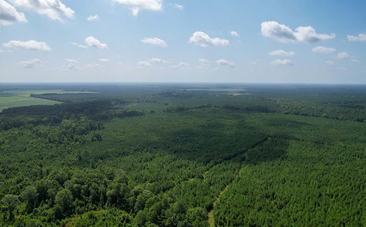 Pictures of Land property located at HLP 74, Monticello, AR 71657 for sales - image #1