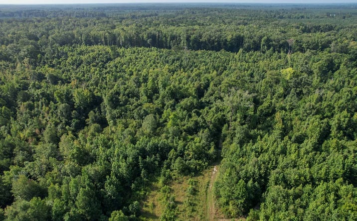 Pictures of Land property located at HLP 49, Monticello, AR 71657 for sales - image #1