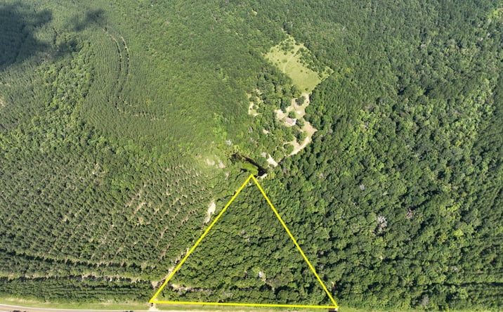 Pictures of Land property located at 1 FM 2939, Newton, TX 75966 for sales - image #1