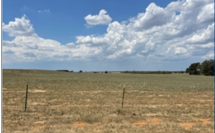 Pictures of Land property located at 3 County Road 232, Floresville, TX 78114 for sales - image #1