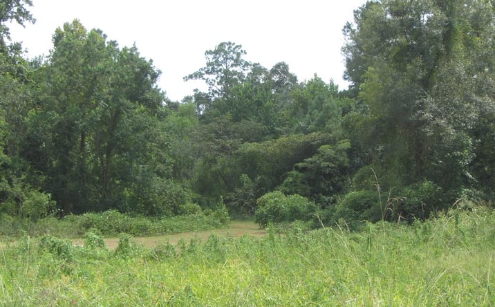 Pictures of Land, Multifamily property located at 0000 Carroll Street, Picayune, MS 39466 for sales - image #1