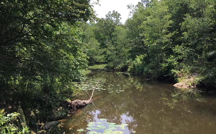 Pictures of Land property located at Highway 10, Bigelow, AR 72016 for sales - image #1