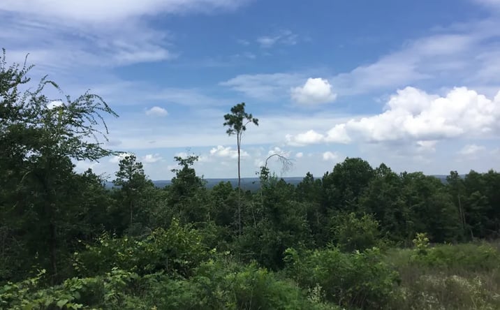 Pictures of Land property located at Thomas Road, Booneville, AR 72927 for sales - image #1